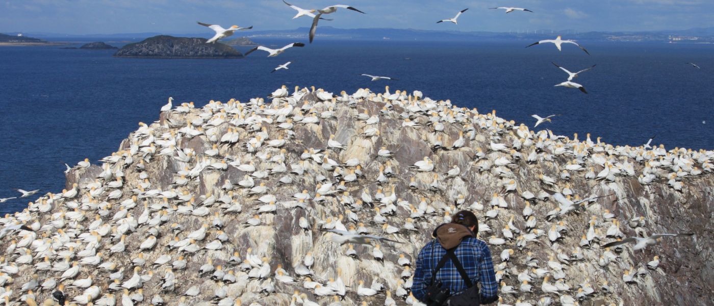 Man photographing birds on a rock with sea in the background. Credits: Jana Jeglinksi