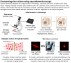 Quantum imaging advanced microscopes