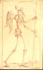 Image from Miscellaneous skeletal drawings
(Sp Coll MS Hunter DF31) Links to Douglas Papers collection record
