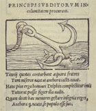 Emblem showing anchor and dolphin, signifying a prince ensuring the safety of his subjects, from Alciato's Emblematum Liber, 1531. (Sp Coll S.M. 18 fol b2) Links to Alciato at Glasgow website.