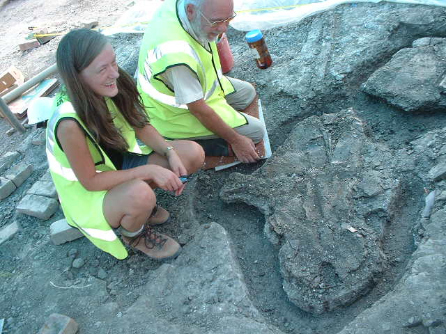 Fossil thought to be part of the Leedsichthys jaw, it was found in the 'Star Pit' at Whittlesey, Peterborough
