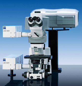 Zeiss LSM 710 confocal fluorescence microscope