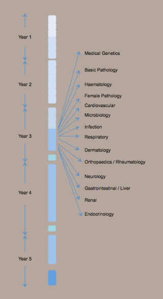 Phase 3 Clinical Sciences chromosome diagram 