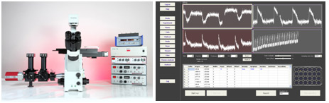 Clyde Biosciences (left) the CellOPTIQ instrument; (right) proprietary image-analysis software enabling real-time, multiplexed electrophysiological measurements.