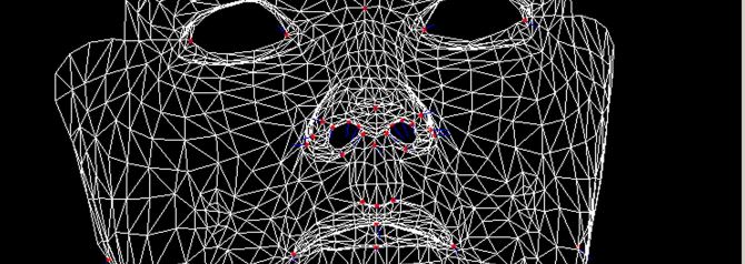 wireframe image of a face