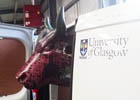 Chemistry Cow 140 section image