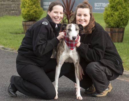 Scottish SPCA's education and research manager Gilly Mendes Ferreira and University of Glasgow PhD student Amy Bowman with Maurice the Lurcher.