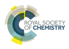 Logo of the Royal Society of Chemistry