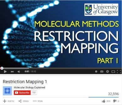 Molecular Methods YouTube screenshot