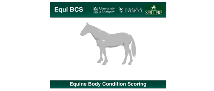 Equine Body Condition Scoring screenshot