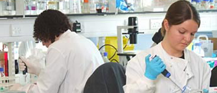 image of 2 researchers in lab