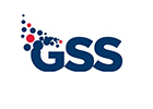 Logo of the spin-out company GSS now part of Synopsys