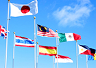 Image of international flags