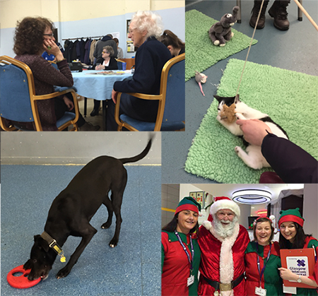 Photos from staff volunteering events including Cats Protection, Dogs Trust, and the Glasgow Children’s Hospital Charity Santa's grotto.