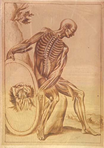 an anatomical drawing by Pietro da Cortona, 1618. the image is of a seated male, with anatomical detail of bone muscle and nerves.  The figure holds a mirror to his side and the image in the mirror depicts a head tilted backwards, revealing anatomical detail of the neck and jaw.