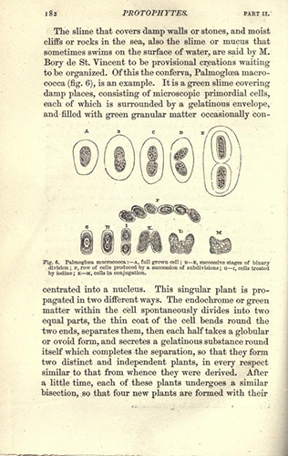 A page from Somerville’s ‘On Molecular and Microscopic Science’, published in 1869. Image courtesy of the University of California 