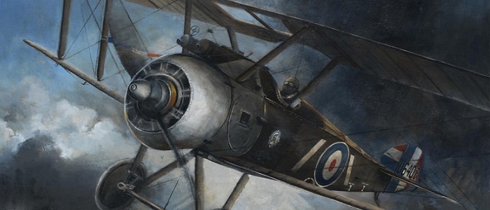 Wings to War RAF Centenary Exhibition. Painting by Professor Dugald Cameron