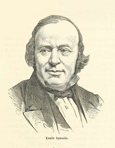 Biologist and geologist Louis Agassiz. Image courtesy of the British Library 