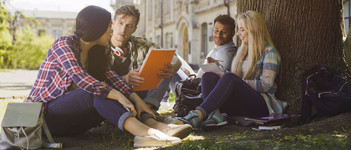 Image of group of students sitting outside