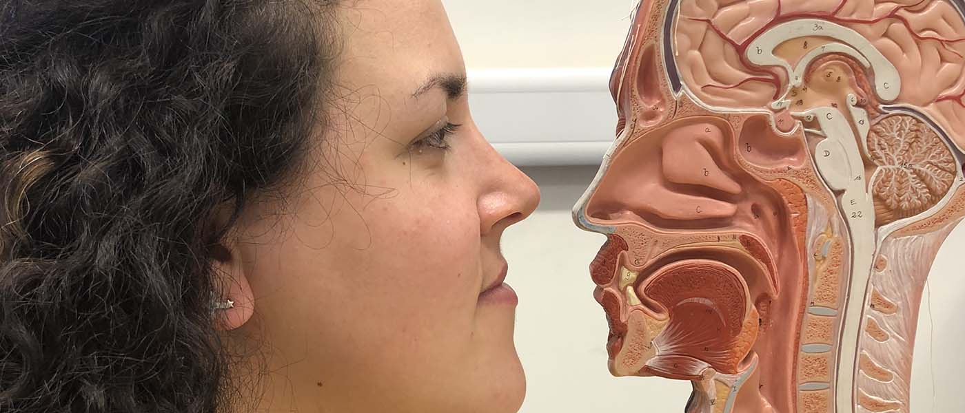 Close up of student looking at a cross-section model of the human head
