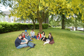 Students outside sitting beneath trees