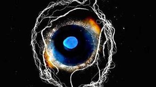 an artwork with a phantastic blue human eye surrounded by neuron tendrils, which also resembles a galaxy