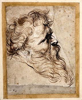 Peter Paul Rubens, Head of a Bearded Man in Profile to the Right, Pen and brown ink, heightened with white.