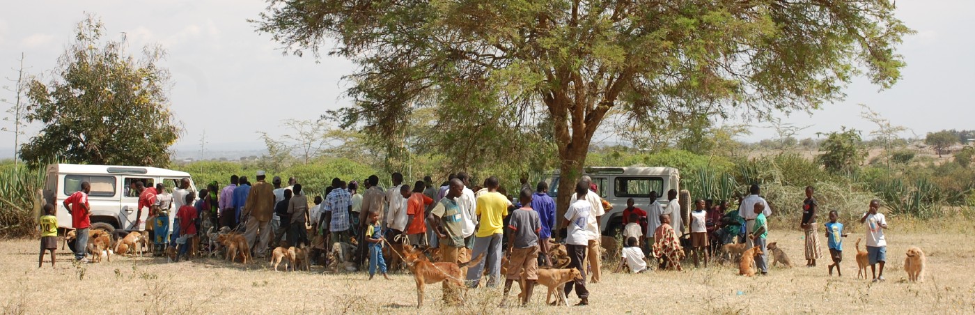 Dog owners queuing for dog vaccinations, Tanzania