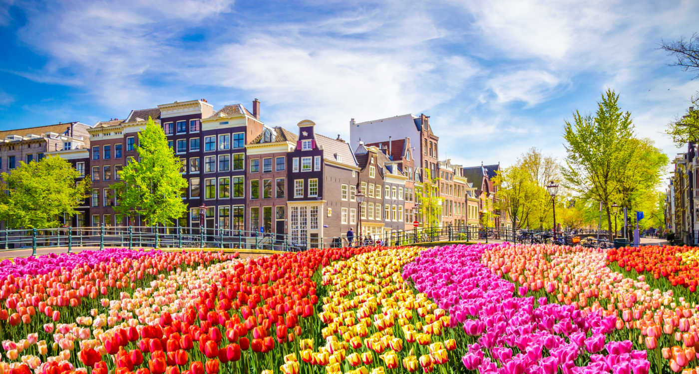 Traditional old buildings and tulips in Amsterdam [Photo: Shutterstock]