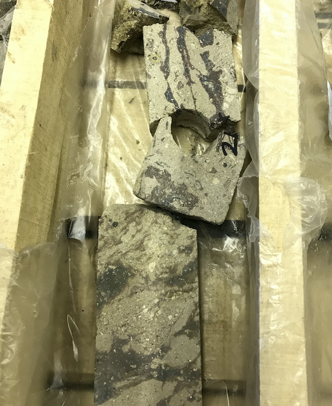 A picture of fragments of a sediment core taken from the Boltysh impact crater in the Ukraine