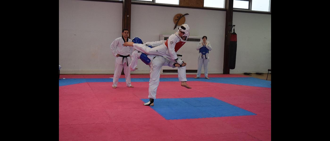 GU Taekwondo Club