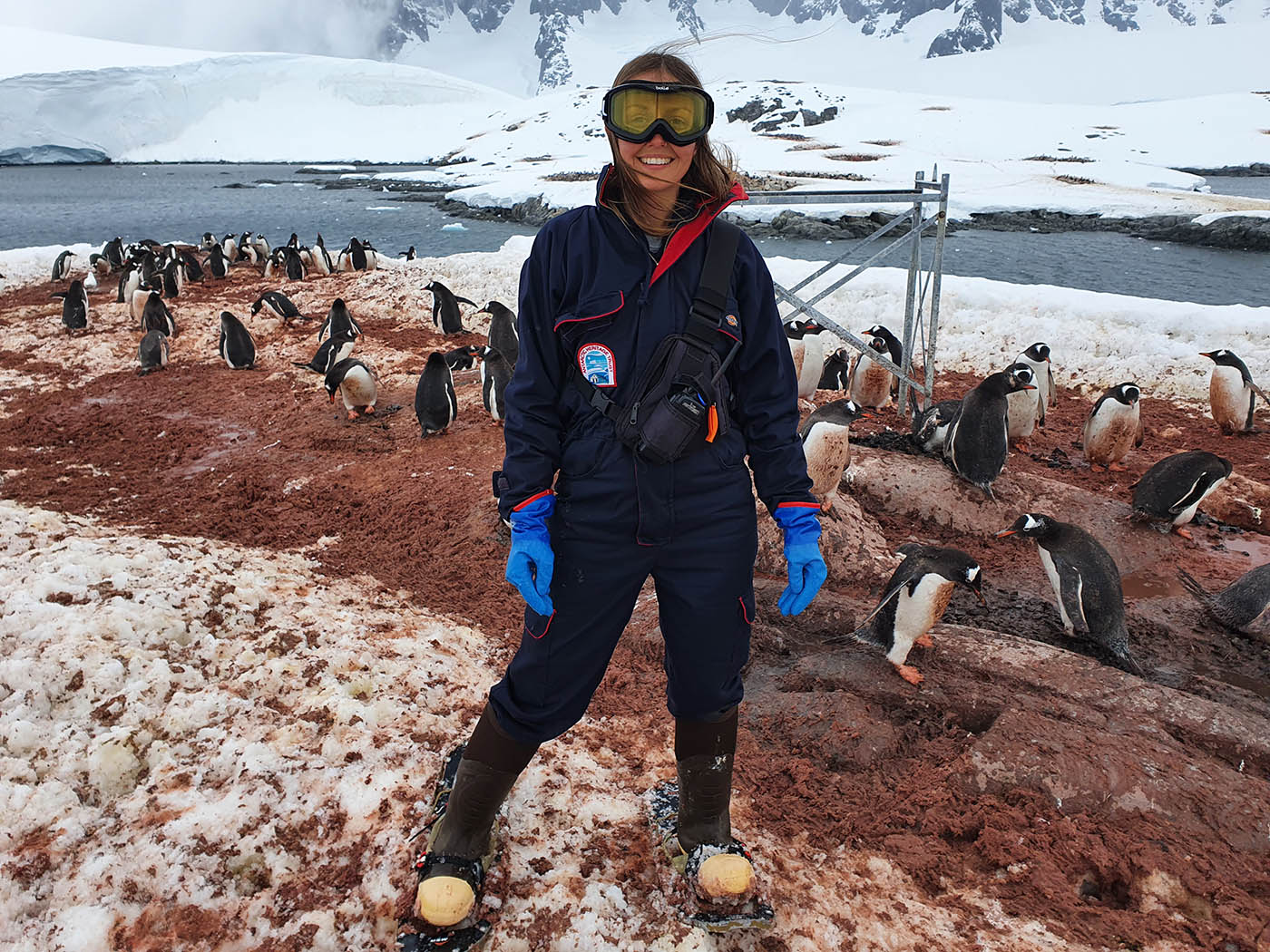 Mairi Hilton and penguins