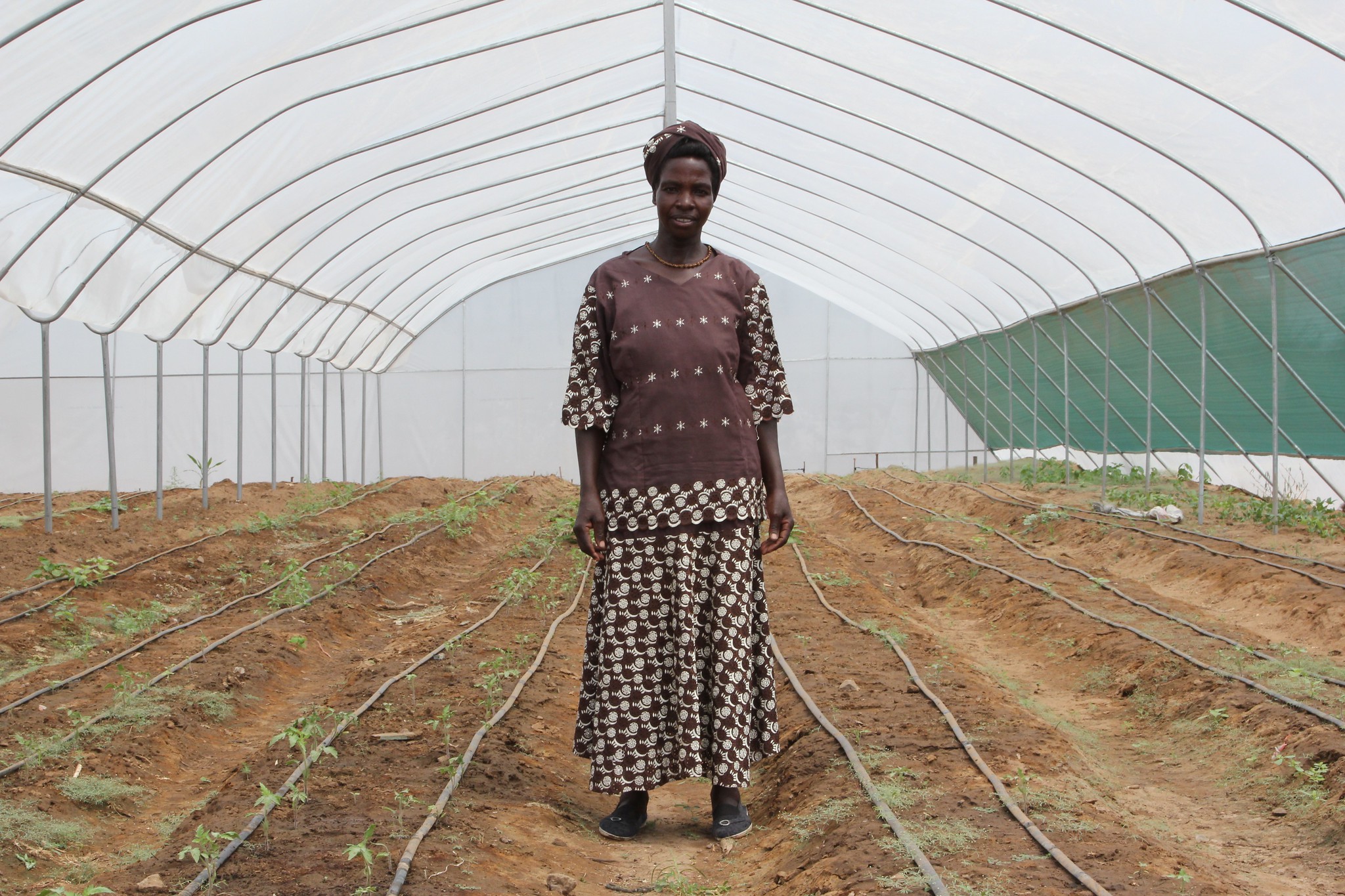 A striking image of a female farmer in an African agricultural setting looking straight at the camera