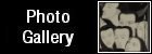 Go to the Hannah Frank photo gallery.