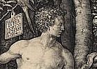 PICTURE: Albrecht D&uuml;rer, &lsquo;Adam and Eve&rsquo;, engraving, 1504.
&copy; The Hunterian Museum and Art Gallery, University of Glasgow.