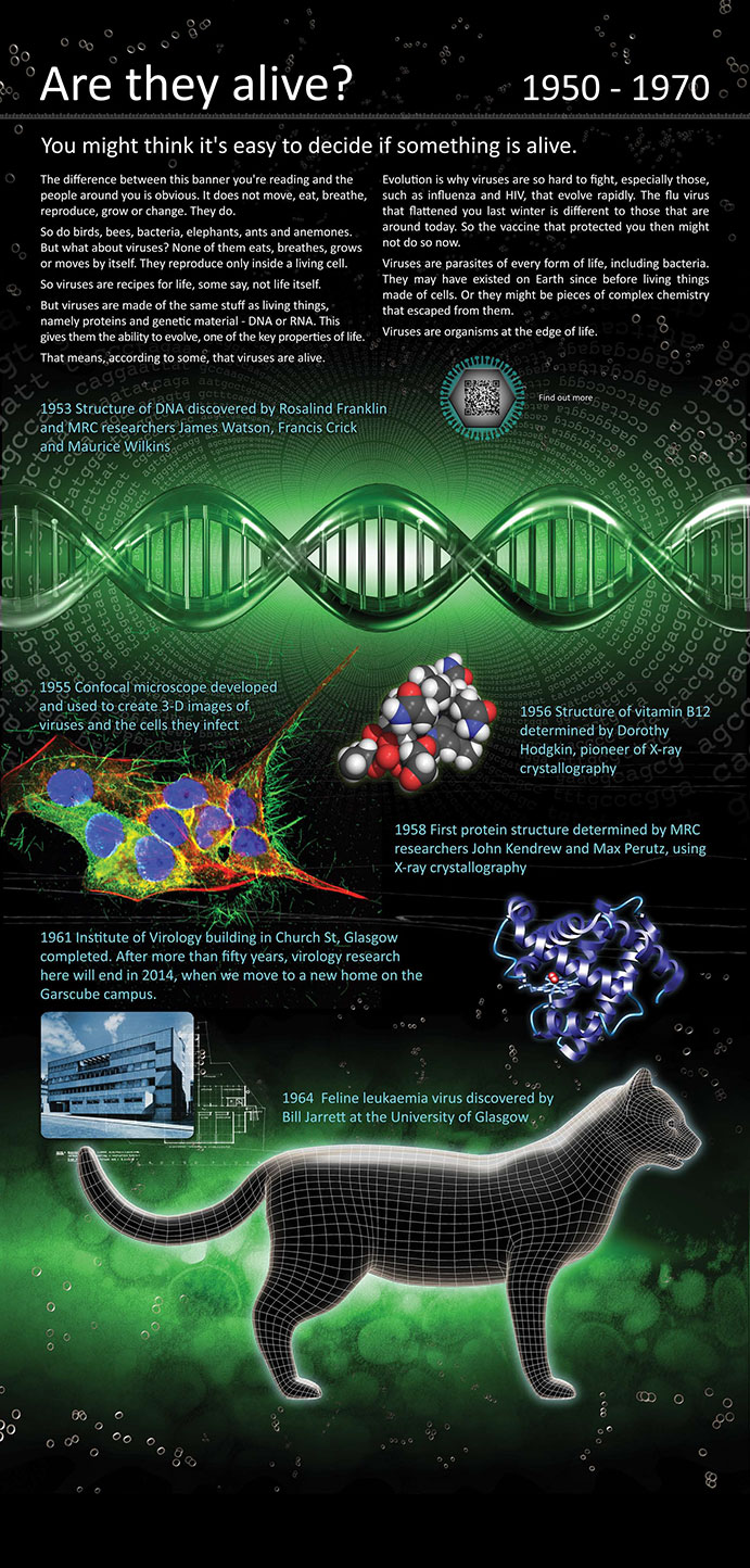 Panel 6 - 1950 to 1970