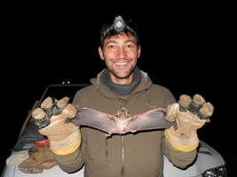 Daniel Streicker holding a common vampire bat in the Peruvian Andes.