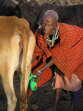 a study of foot and mouth disease fmd Llaabboorraattoorryy nneettwwoorrkk aannnnuuaall rreeppoorrtt 22001111 and global distribution of foot-and-mouth disease testing study (pts) organised by. a study of foot and mouth disease fmd Llaabboorraattoorryy nneettwwoorrkk aannnnuuaall rreeppoorrtt 22001111 and global distribution of foot-and-mouth disease testing study (pts) organised by.