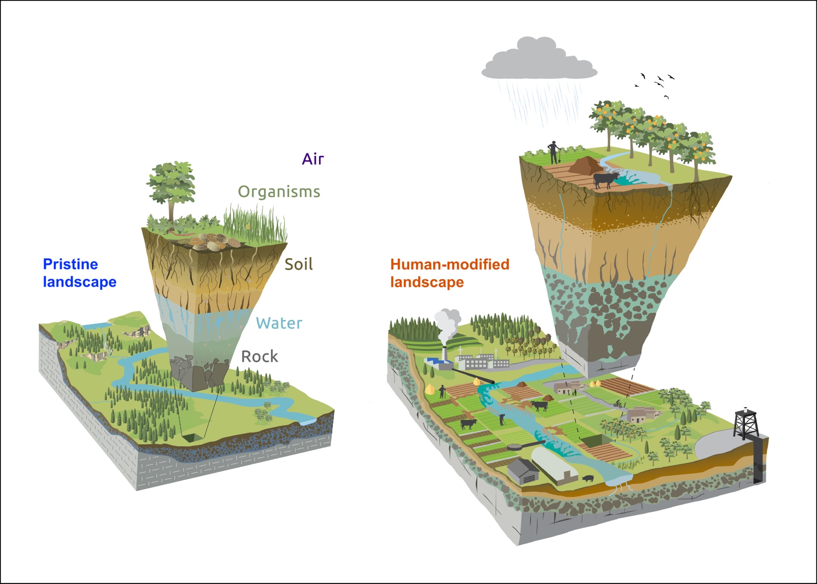 A picture picture showing the difference between the ‘pristine’ landscape that made up the earlier, widely-adopted diagram on the left and the updated diagram on the right.