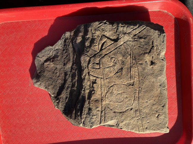 The ‘Govan Warrior’ discovered at Govan Old churchyard on 16th September 2023. Credit: Govan Heritage Trust