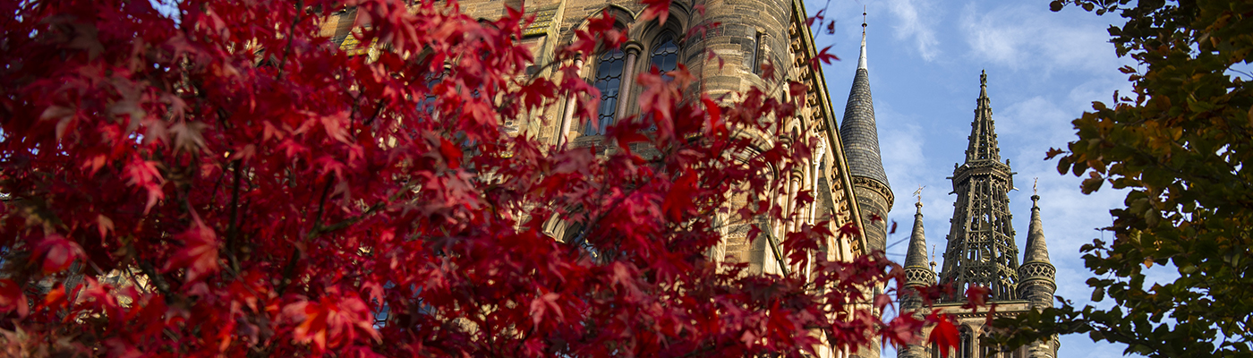 The tower of the Gilbert Scott Building