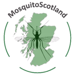 Green coloured map of Scotland overlayed by a black silhouette of a mosquito surrounded by a dark green circle and text that reads 'MosquitoScotland'. 