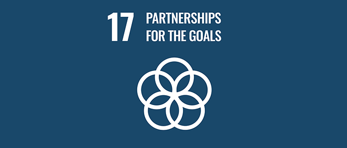Sustainable Development Goal text and icon number 17, partnerships for the goals