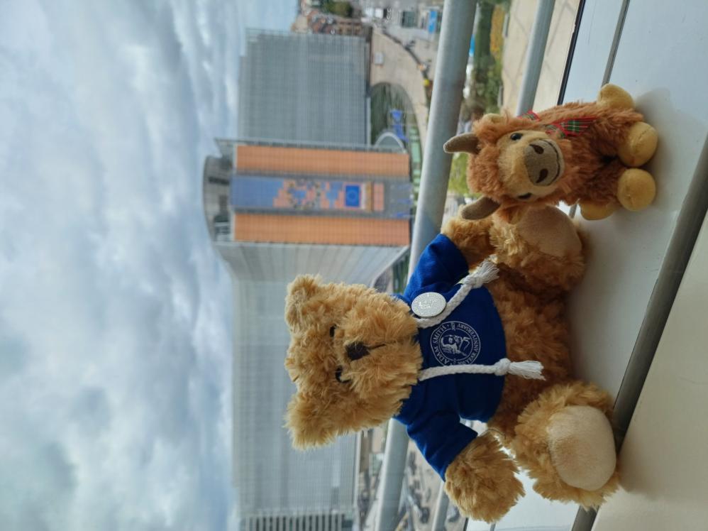 A teddy bear and teddy Highland cow siting together at a window, Source: Charlotte Morris