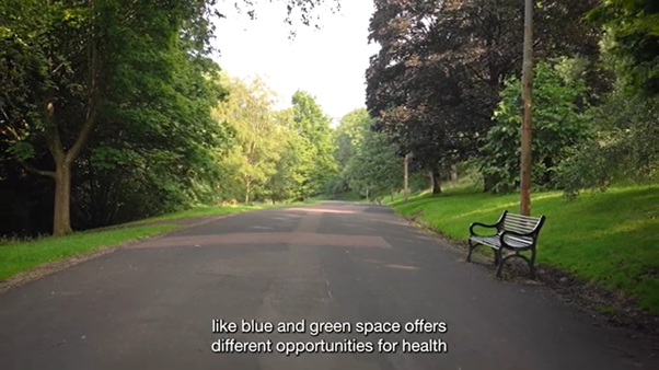 A tree-lined path in a park. There is a bench on the right hand side.