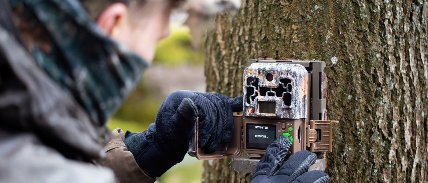 Monitoring device being mounted onto a tree