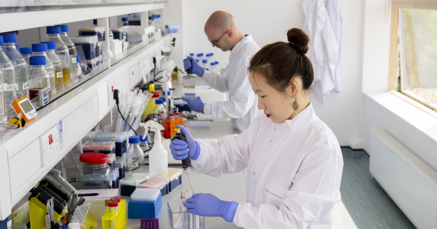 Students in BHF Research Labs - 800x600