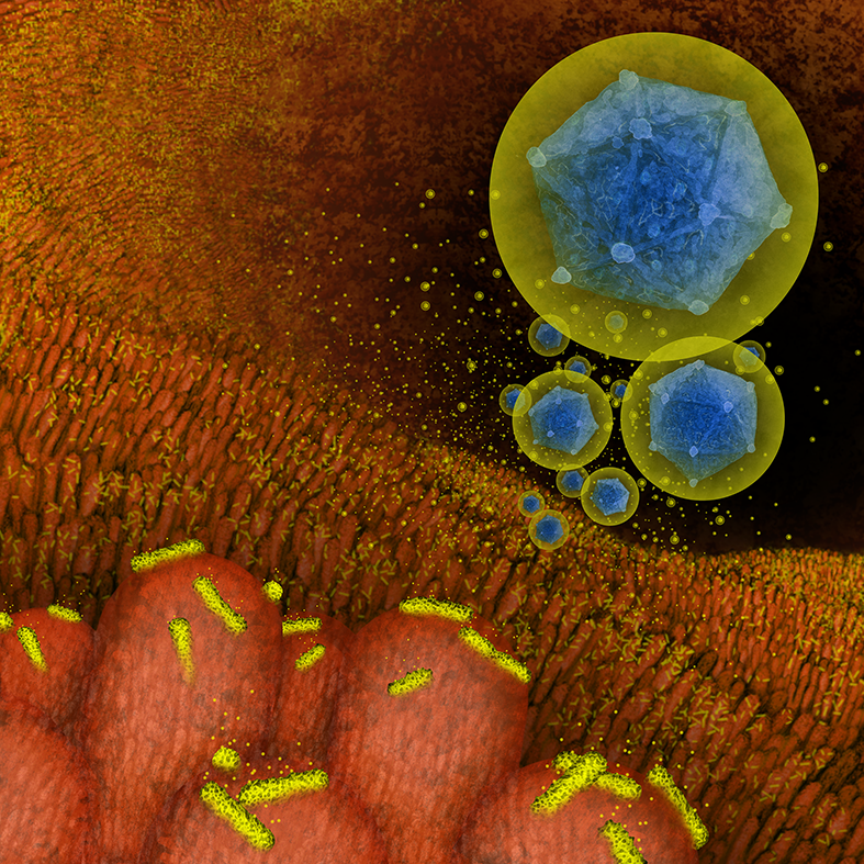 A stylised image showing host-pathogen interaction