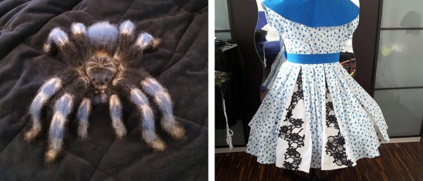 Collage of 2 photos of craft projects: a crocheted spider and a 1950s style dress