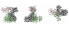 Molecular graphics showing orthogonal views of the rhizosin polyketide synthase module